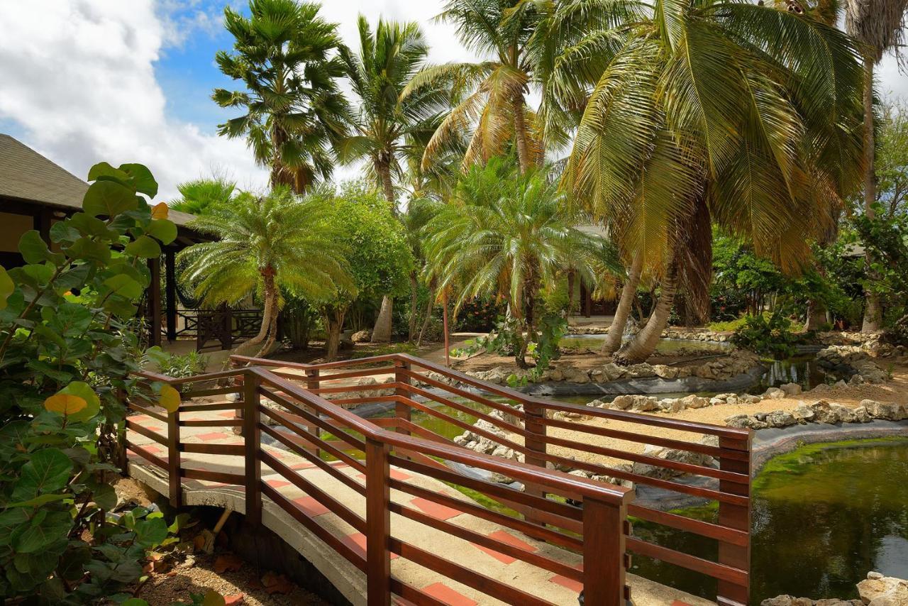 Captain Don'S Habitat Playa Eksteriør bilde