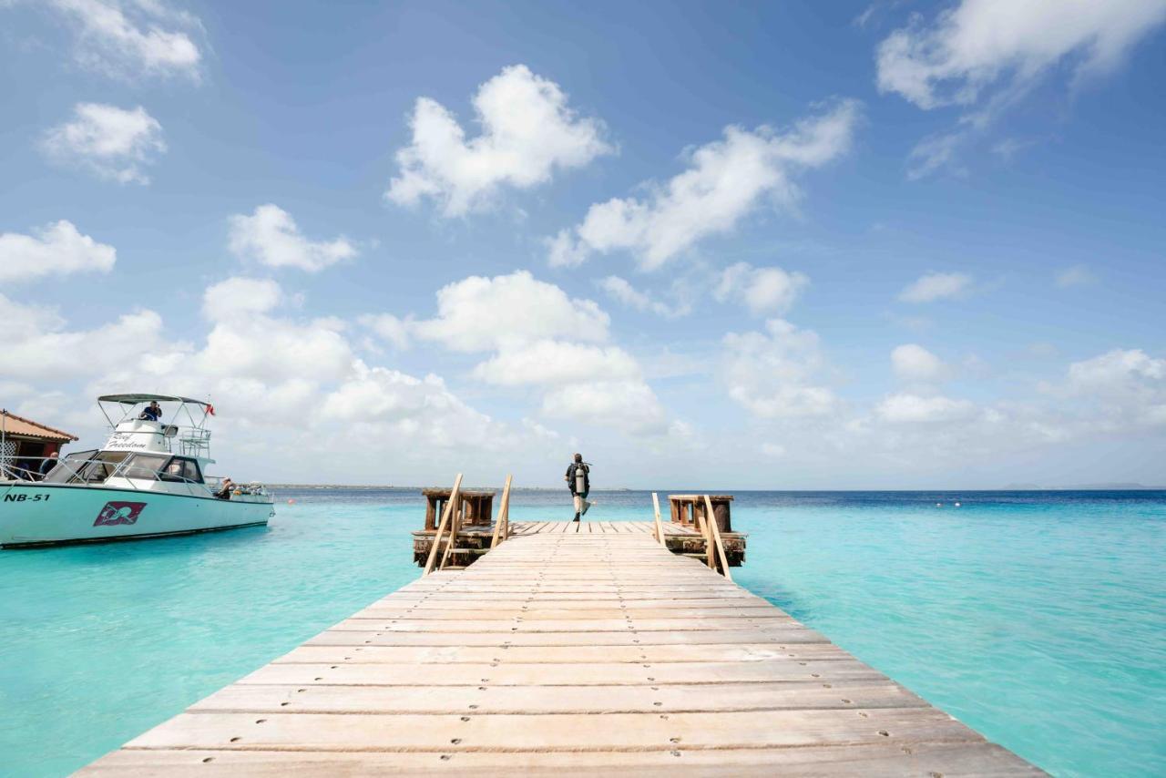 Captain Don'S Habitat Playa Eksteriør bilde